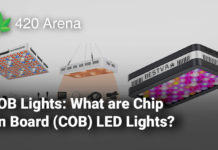 COB Lights: What are Chip On Board (COB) LED Lights?