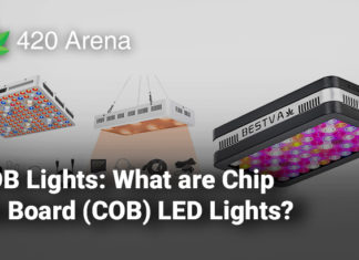 COB Lights: What are Chip On Board (COB) LED Lights?