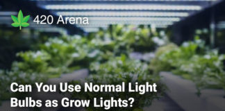 Can You Use Normal Light Bulbs as Grow Lights