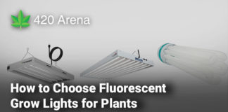 How to Choose Fluorescent Grow Lights for Plants