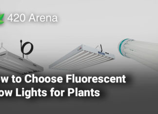 How to Choose Fluorescent Grow Lights for Plants