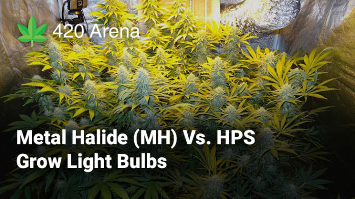 Metal Halide (MH) Vs. HPS Grow Light Bulbs