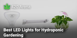 Best LED Lights for Hydroponic Gardening