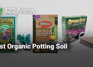 Best Organic Potting Soil