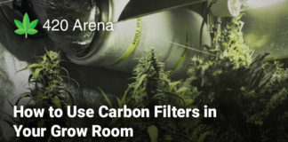 How to Use Carbon Filters in Your Grow Room