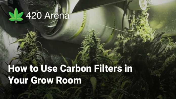 How to Use Carbon Filters in Your Grow Room