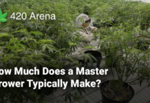 How Much Does a Master Grower Typically Make