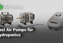 Best Air Pumps for Hydroponics