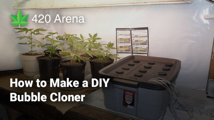 How to Make a DIY Bubble Cloner