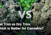 Wet Trim vs Dry Trim