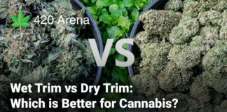 Wet Trim vs Dry Trim